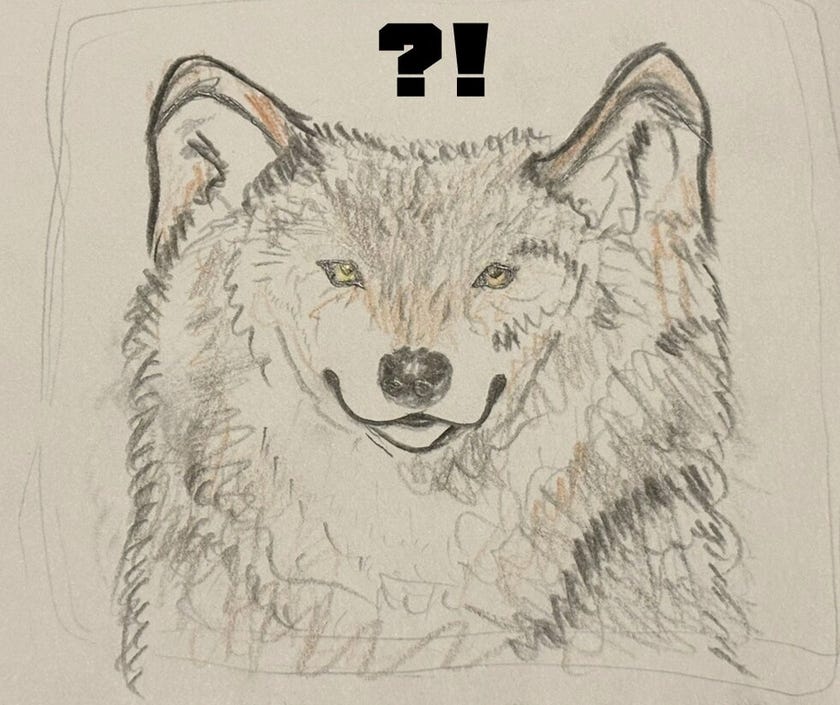 ブログサムネイル