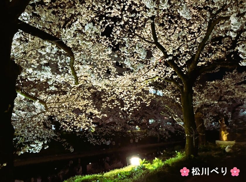 ブログサムネイル