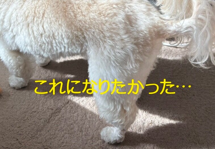 ブログサムネイル
