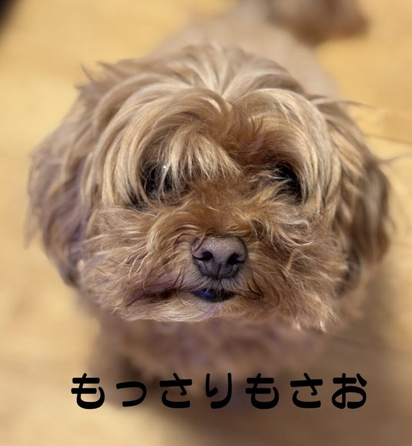 ブログサムネイル