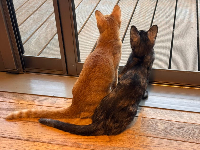 ブログサムネイル