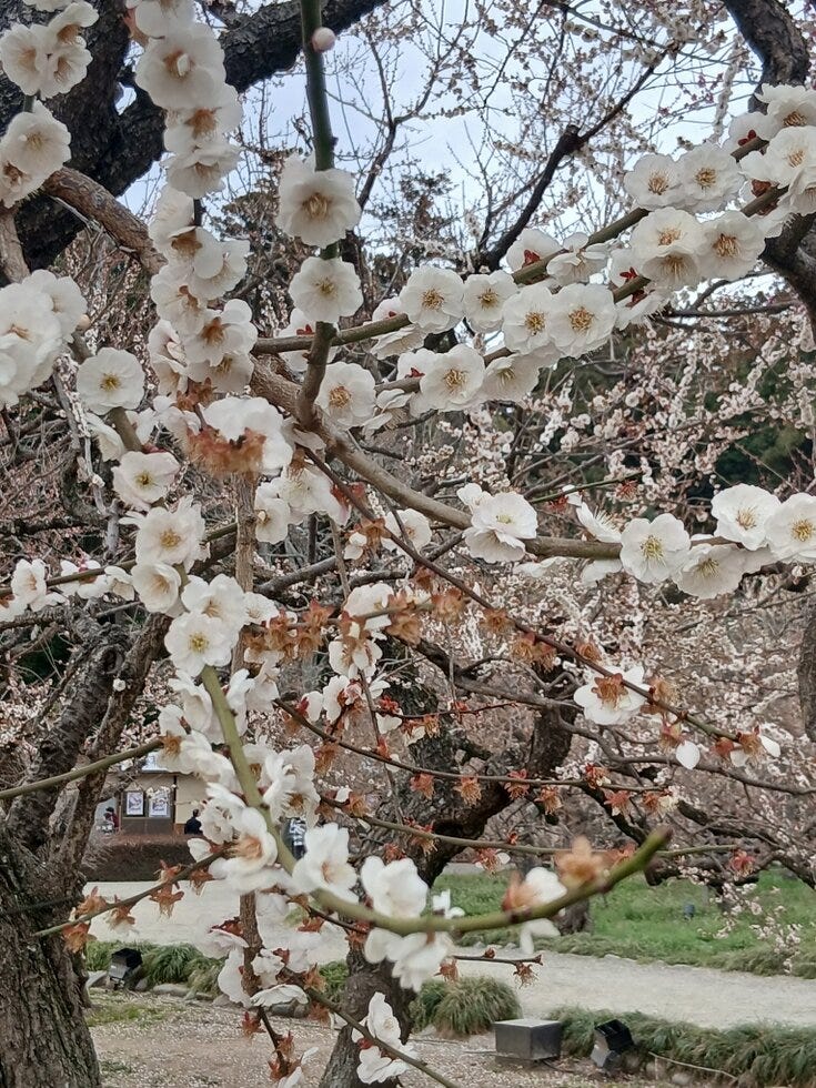 ブログサムネイル