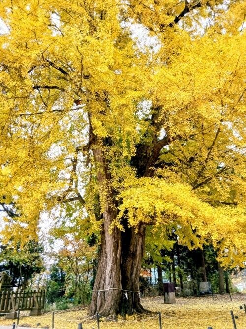 ブログサムネイル