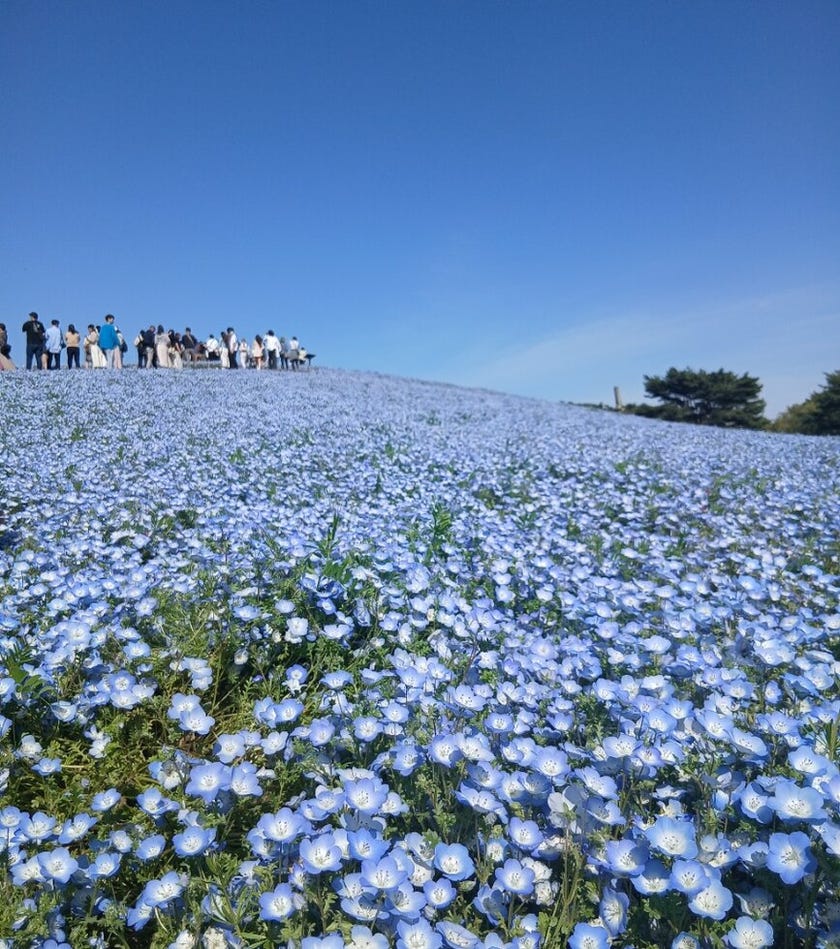 ブログサムネイル