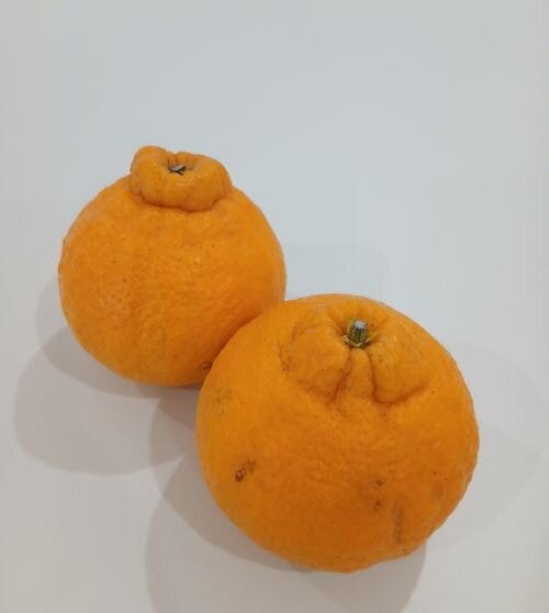 ブログサムネイル