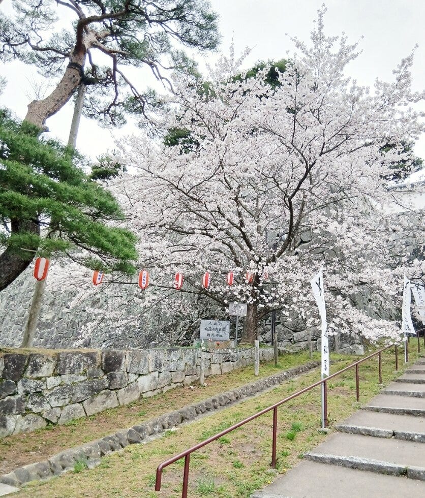 ブログサムネイル