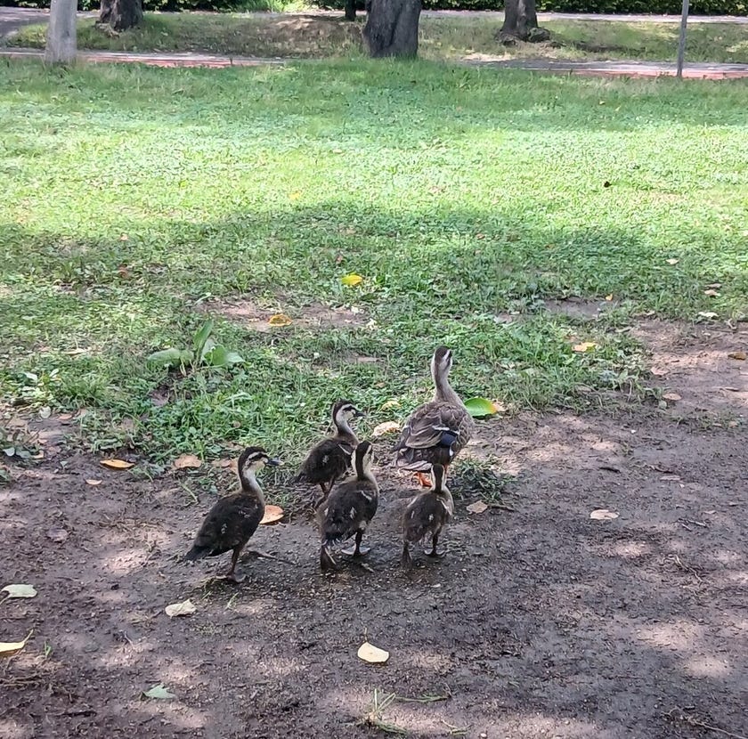 ブログサムネイル