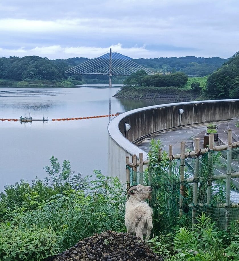 ブログサムネイル