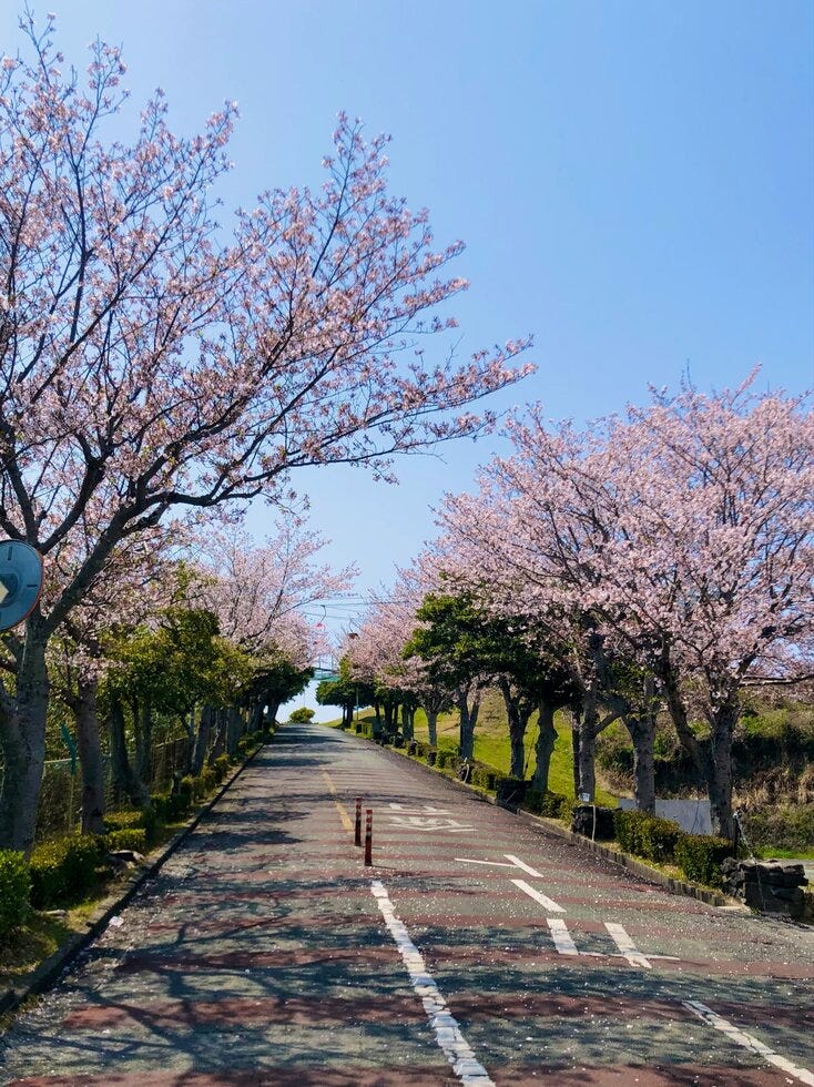 ブログサムネイル