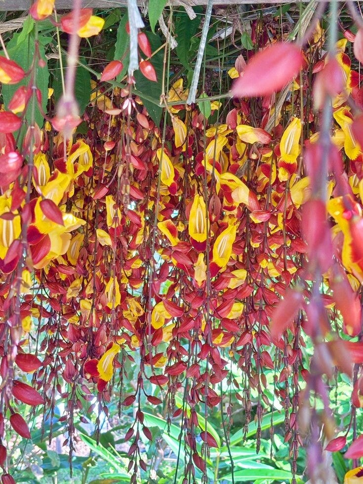 ブログサムネイル