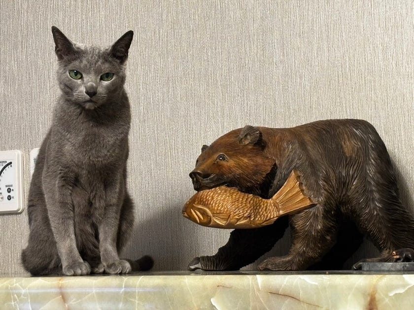 ブログサムネイル