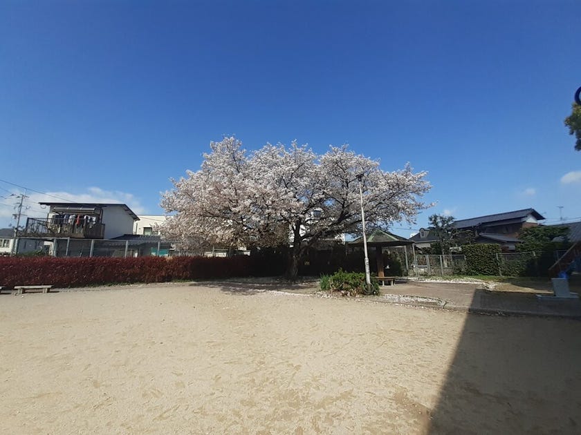 ブログサムネイル