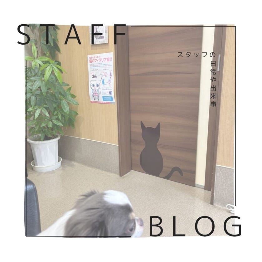 ブログサムネイル