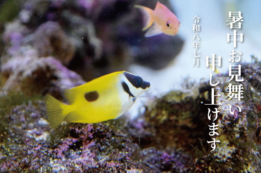 ブログサムネイル