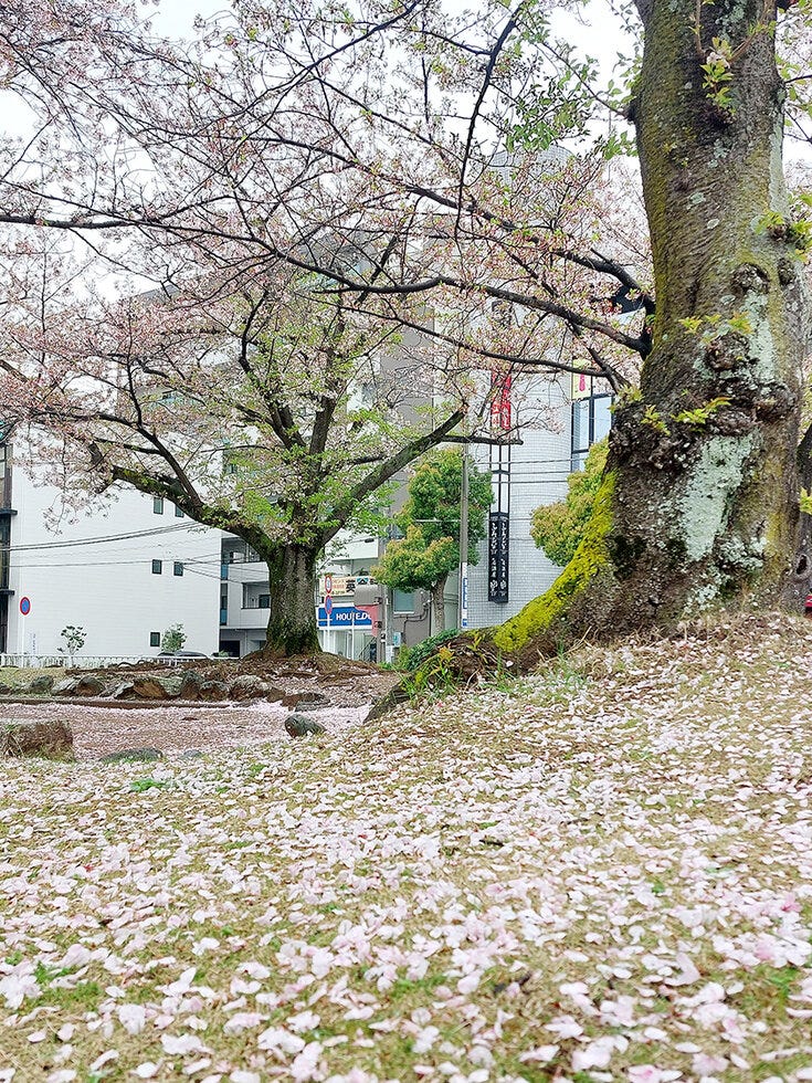 ブログサムネイル