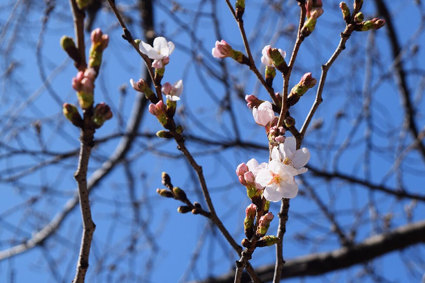 ブログサムネイル