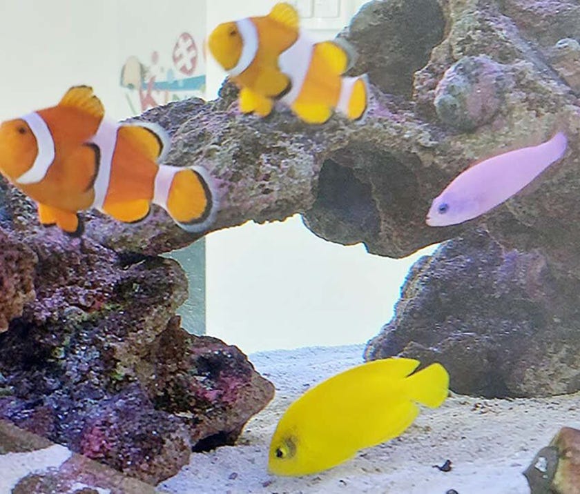 ブログサムネイル