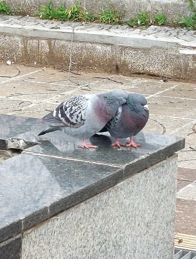 ブログサムネイル