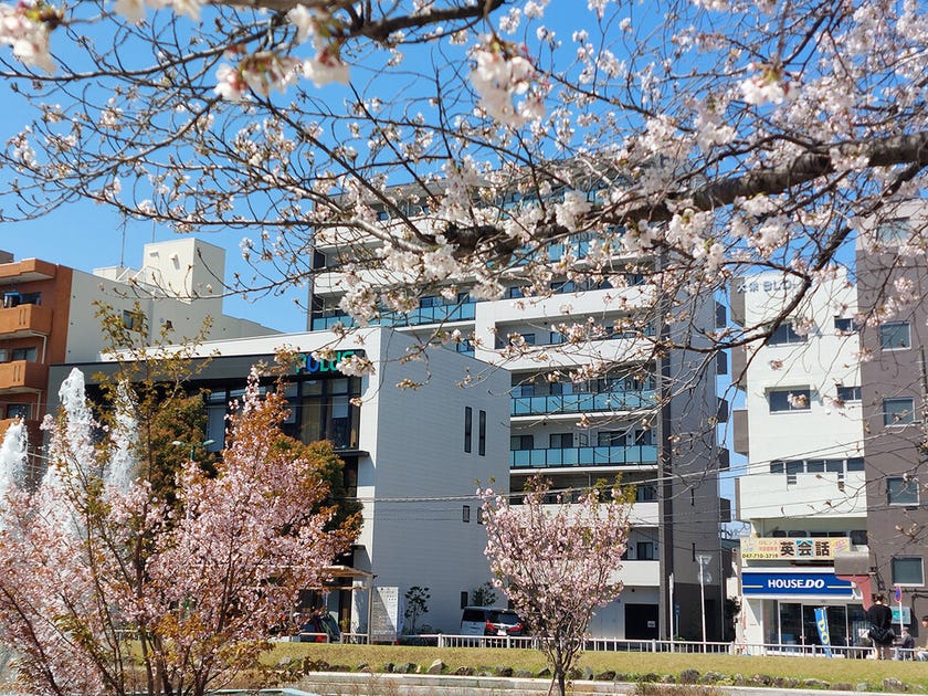 ブログサムネイル