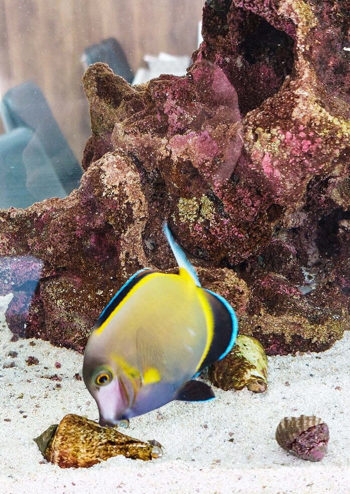 ブログサムネイル