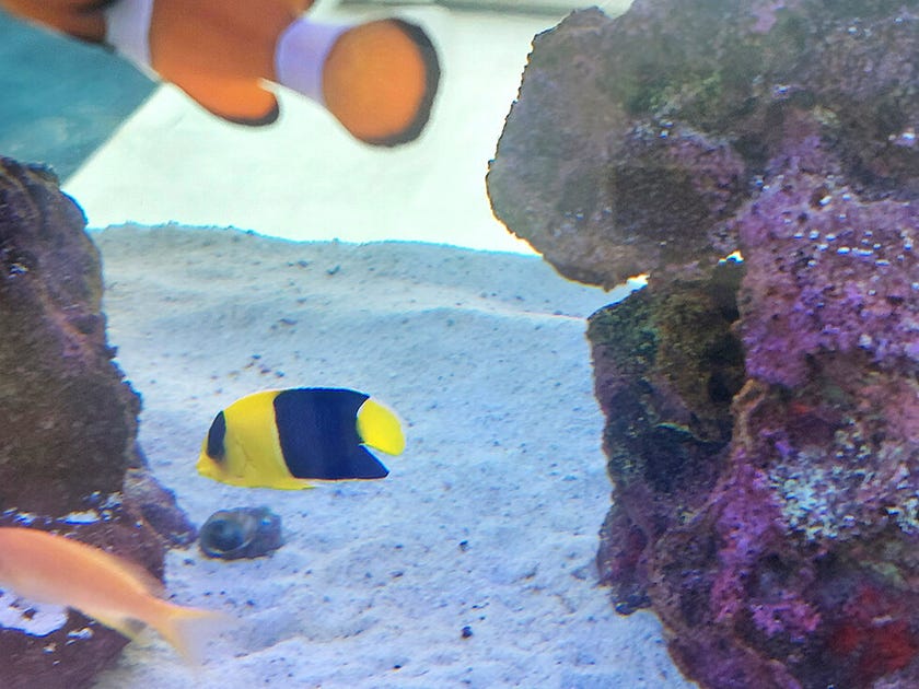 ブログサムネイル