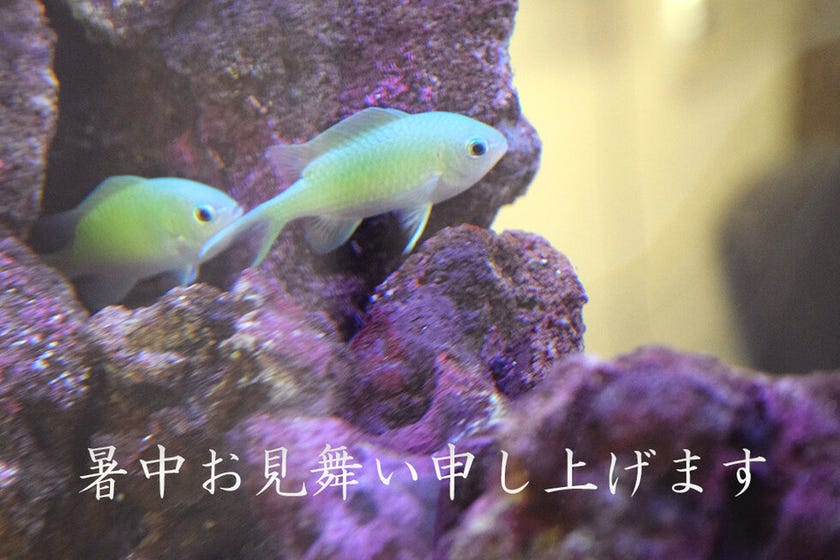 ブログサムネイル