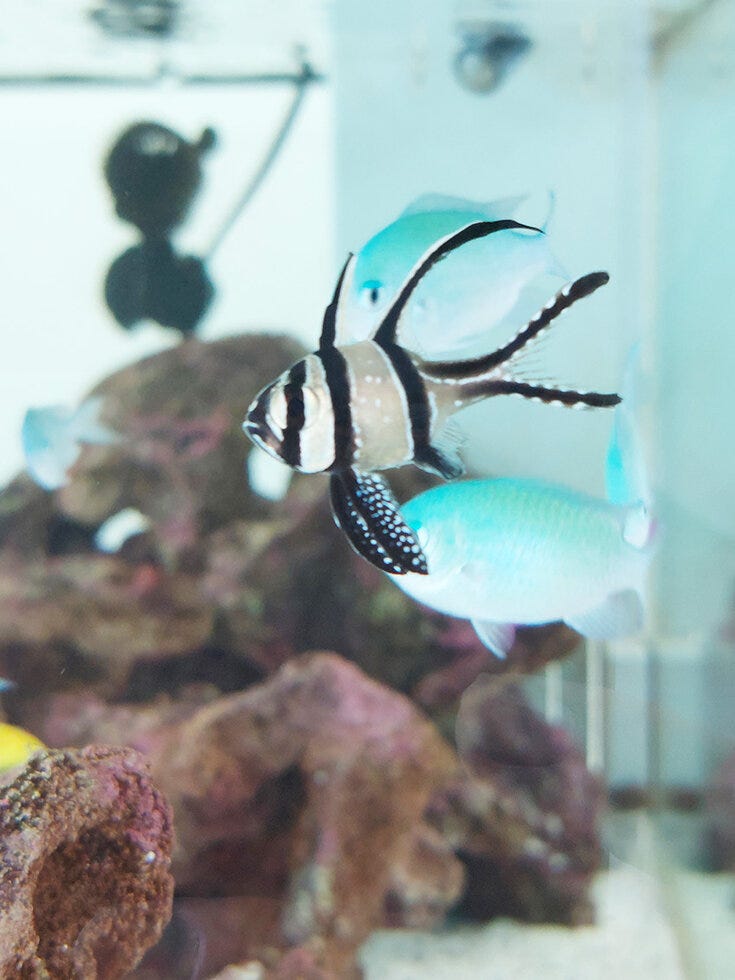 ブログサムネイル