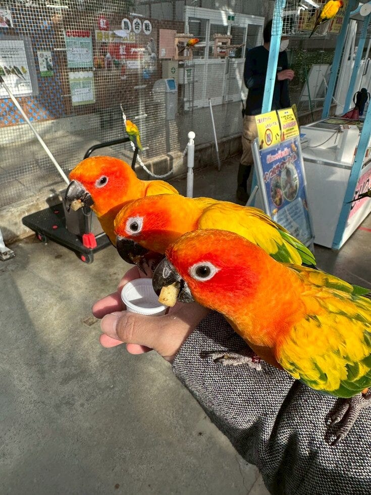 ブログサムネイル