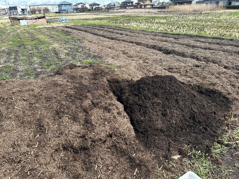 ブログサムネイル