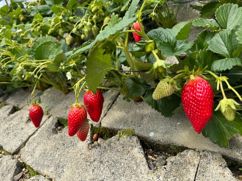 ブログサムネイル