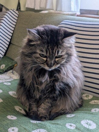 ブログサムネイル