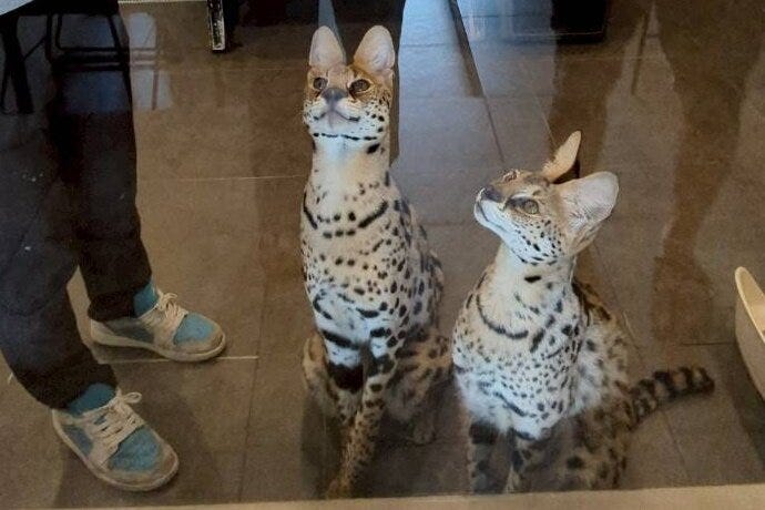 ブログサムネイル