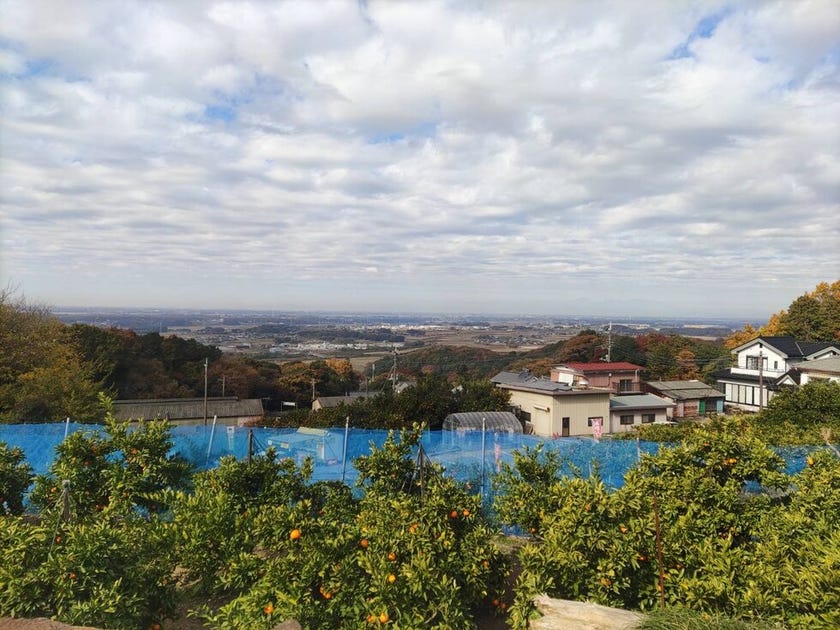 ブログサムネイル