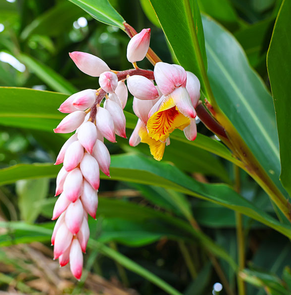 ブログサムネイル