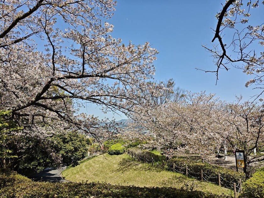 ブログサムネイル