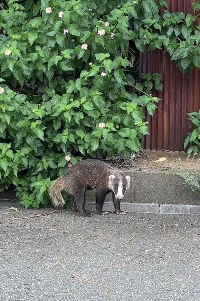 ブログサムネイル