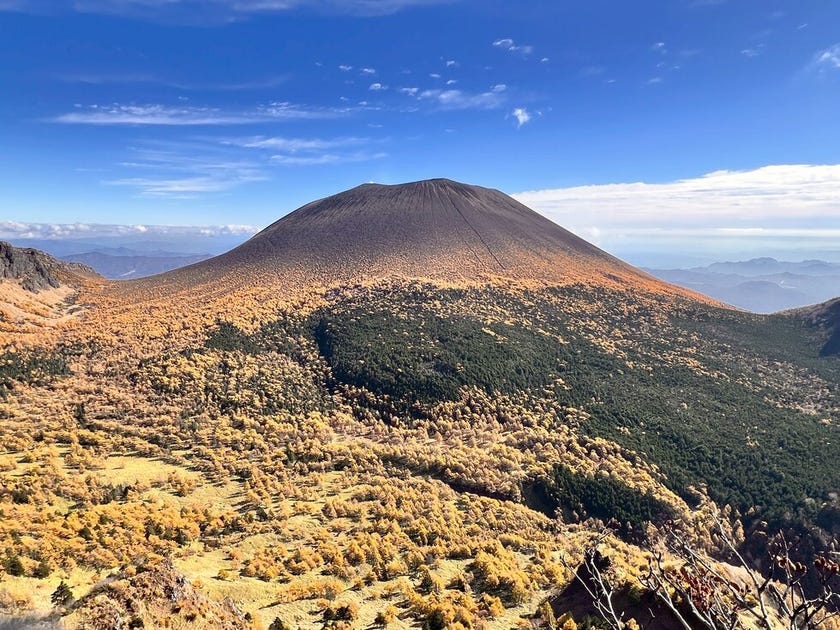 ブログサムネイル