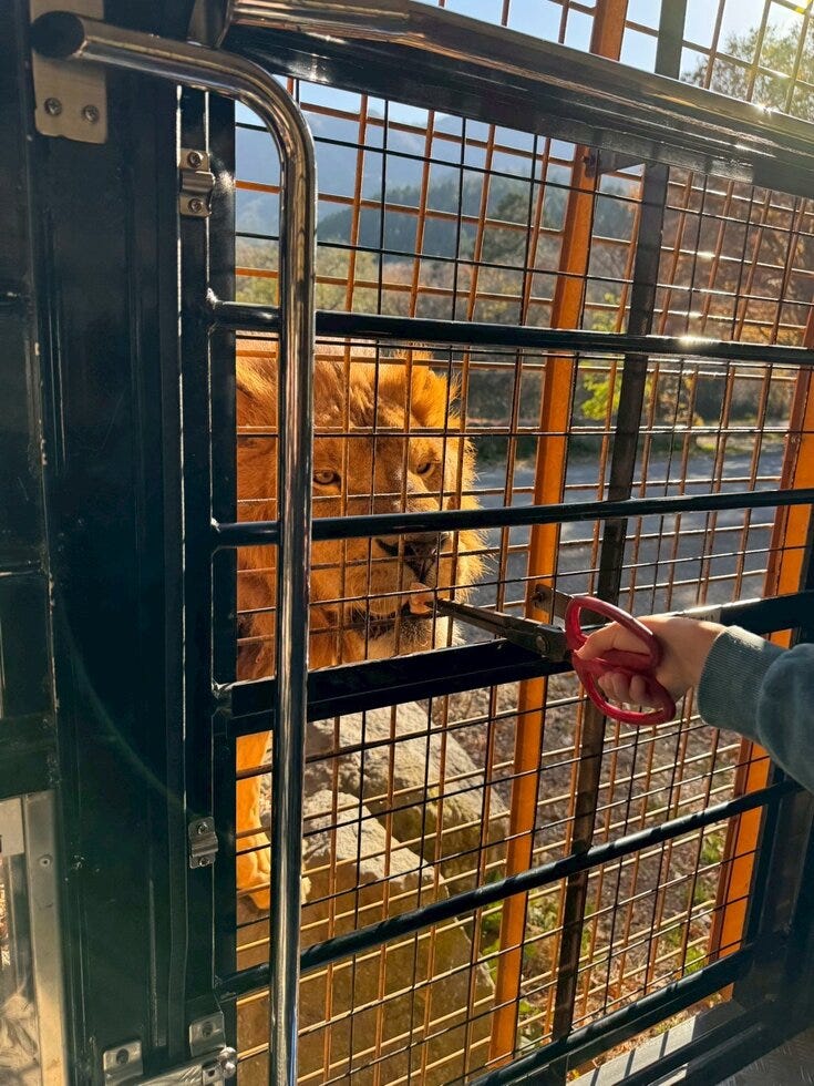 ブログサムネイル