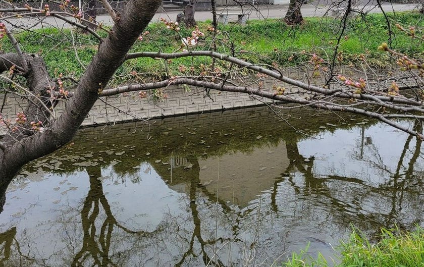 ブログサムネイル