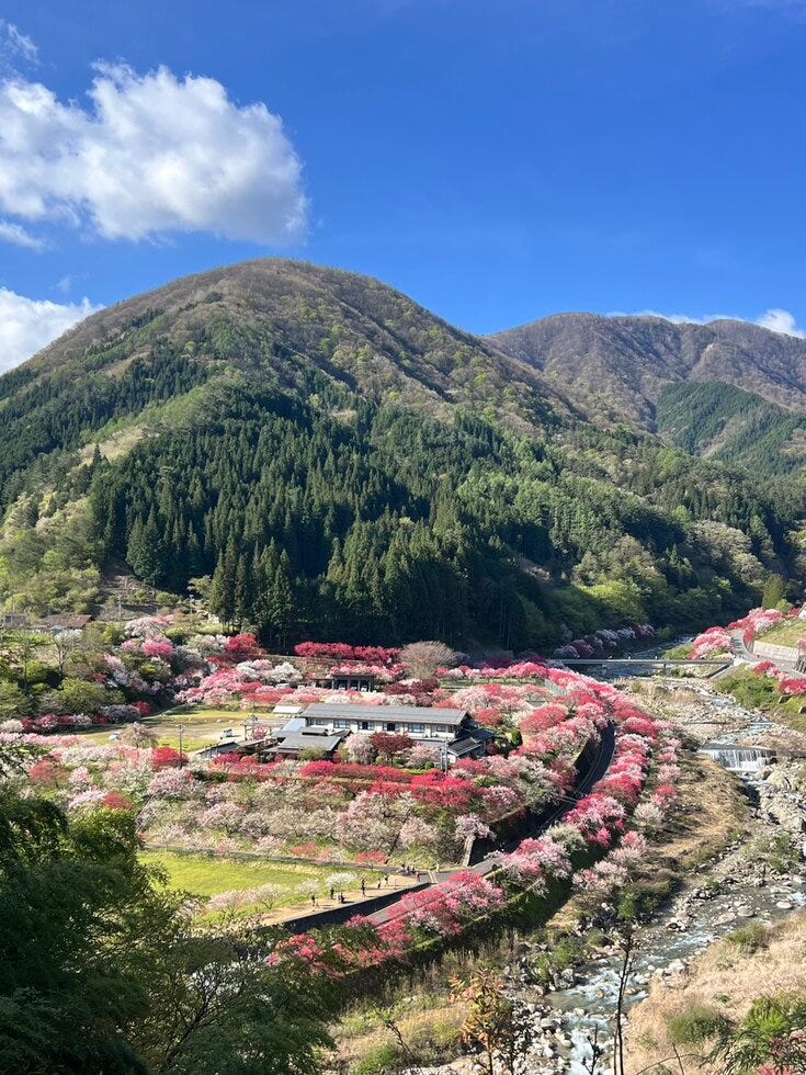 ブログサムネイル