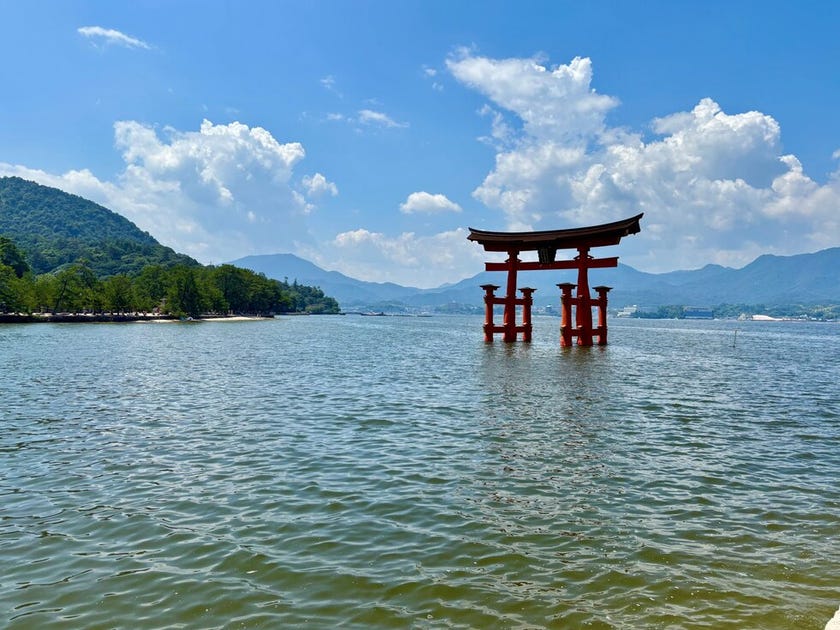 ブログサムネイル