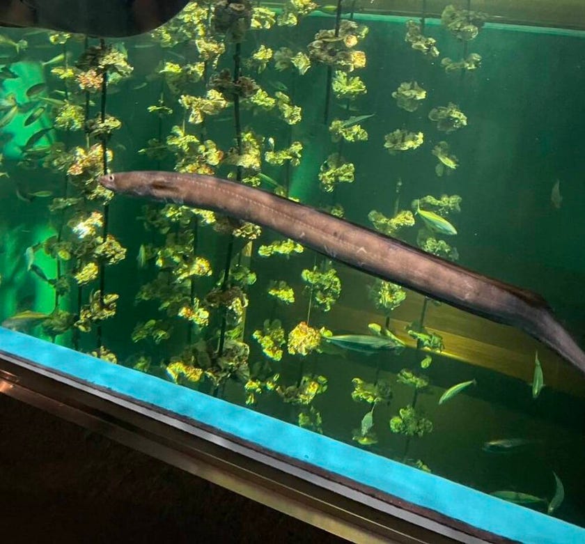 ブログサムネイル