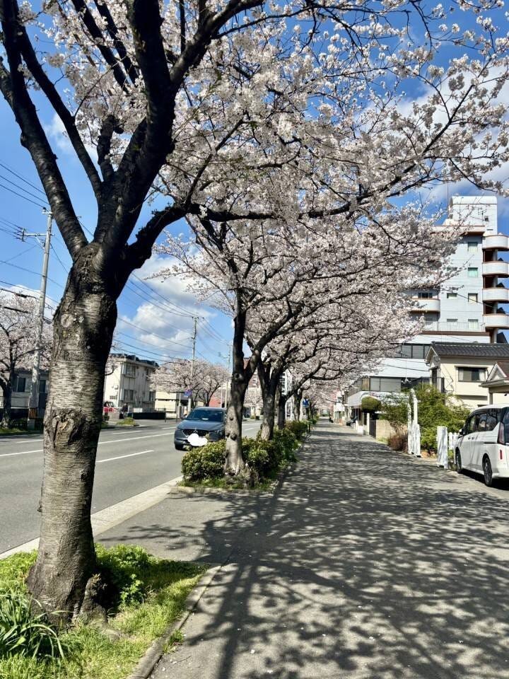 ブログサムネイル