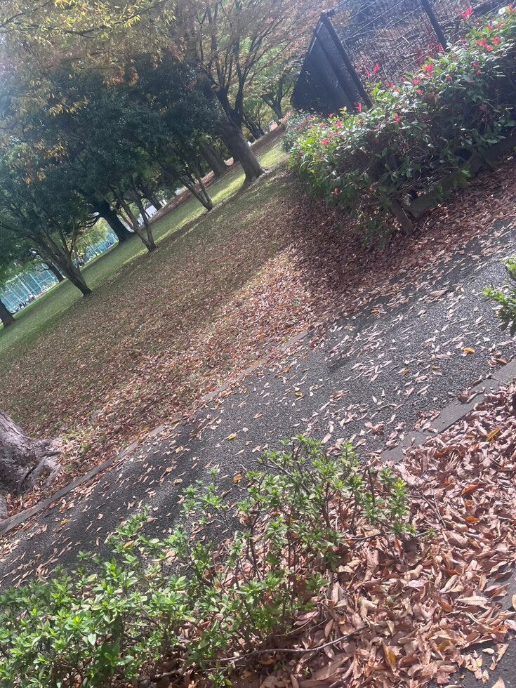 ブログサムネイル