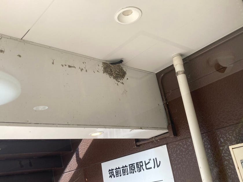 ブログサムネイル