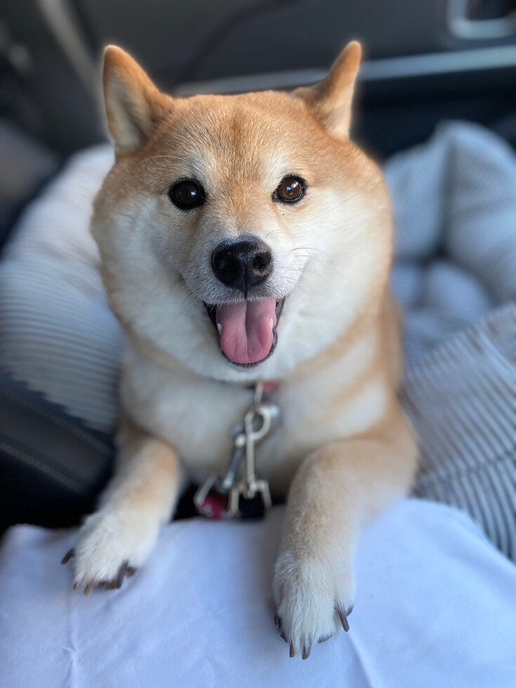 ブログサムネイル