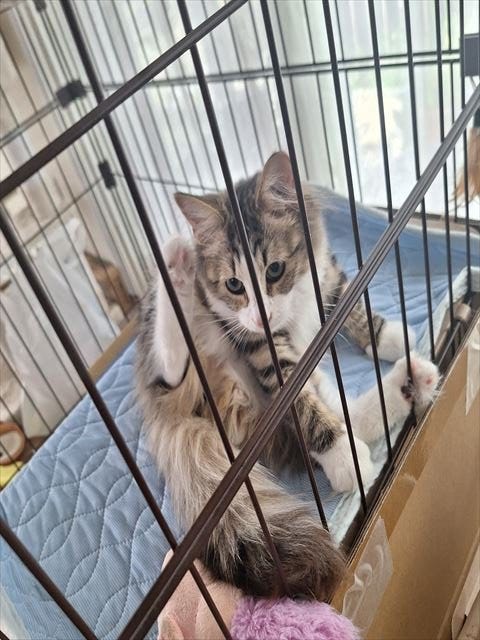 ブログサムネイル