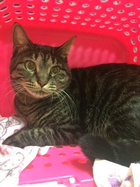 ブログサムネイル