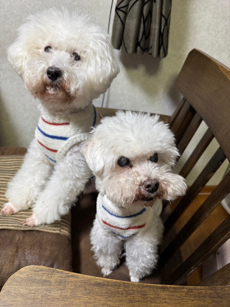 ブログサムネイル