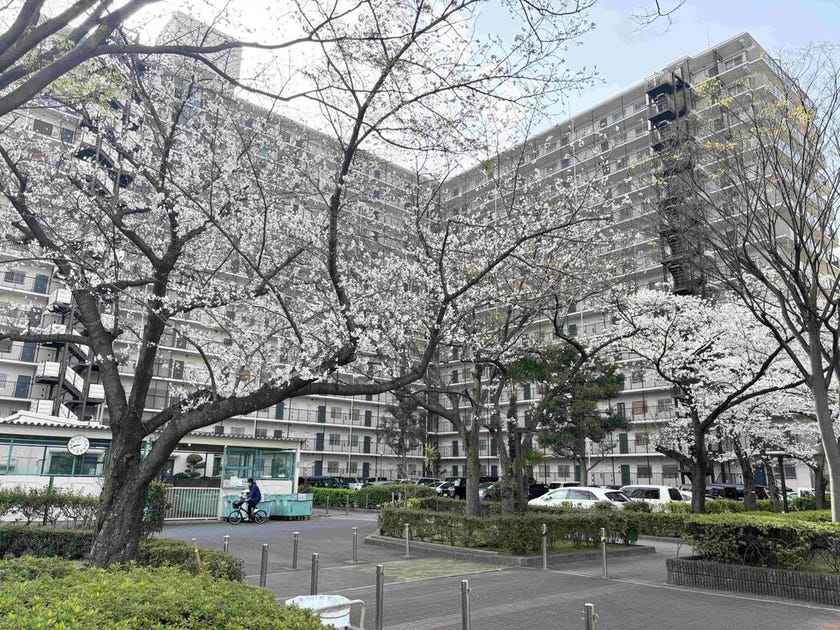 ブログサムネイル